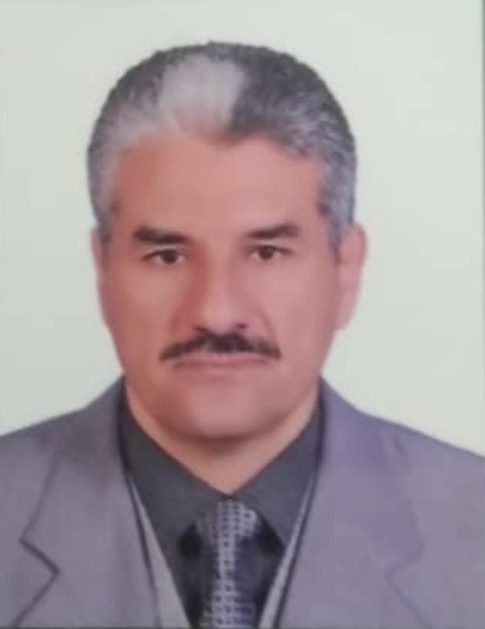 Khaled A. Rashed – NEU, Fifth International Conference on Natural ...